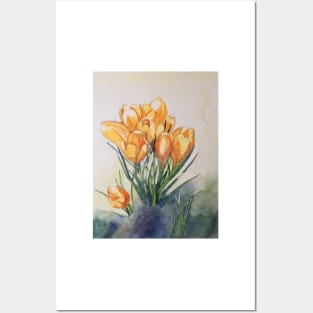 Yellow crocuses watercolour painting Posters and Art